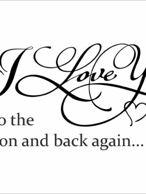 To the moon and back again