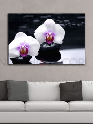 Stampa moderna benessere spa "CANDIDE ORCHIDEE BIANCHE" - Stampa su tela