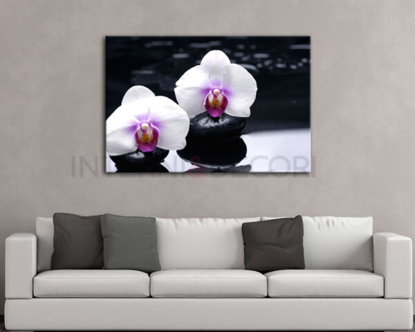 Stampa moderna benessere spa "CANDIDE ORCHIDEE BIANCHE" - Stampa su tela