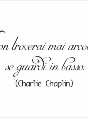 Non troverai mai arcobaleni-adesivo murale