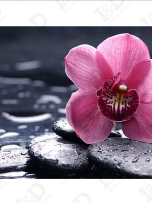 Stampa su tela-delicata orchidea rosa