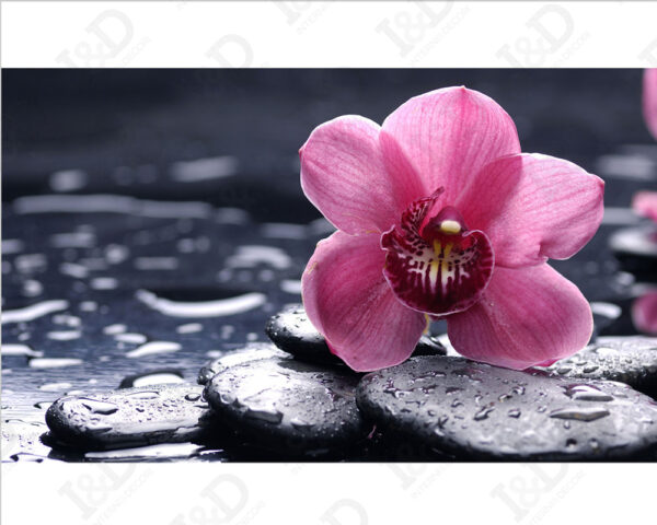 Stampa moderna benessere spa "DELICATA ORCHIDEA ROSA" - Stampa su tela