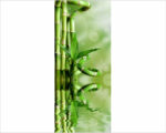 Decoro porta benessere "RAMI DI BAMBOO"