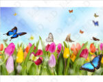 Quadro moderno fiori "TULIPANI E FARFALLE" - Stampa su tela