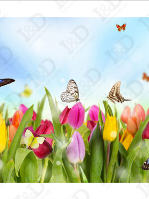 Tulipani e farfalle-stampa su tela