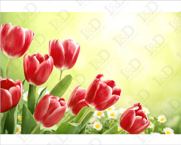 Quadro moderno fiori "TULIPANI ROSSI AL VENTO" - Stampa su tela