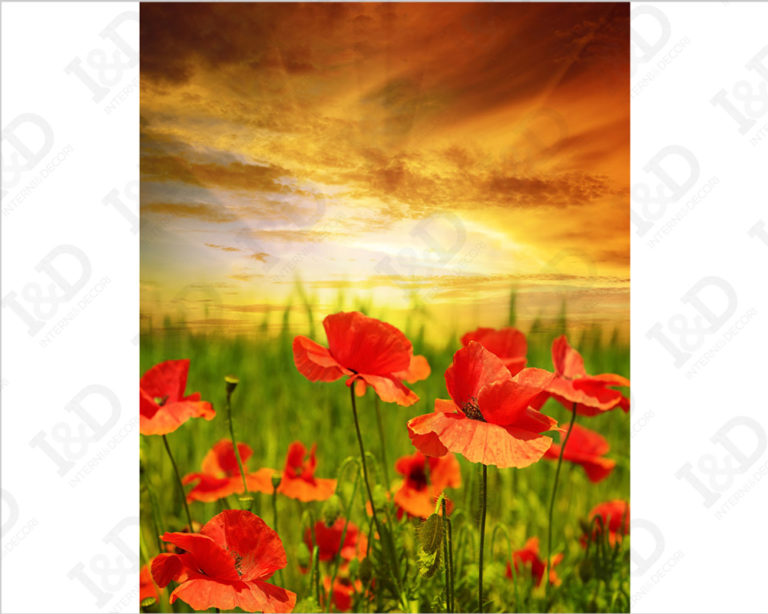 Quadro moderno fiori "UN CAMPO DI PAPAVERI"- Stampa su tela