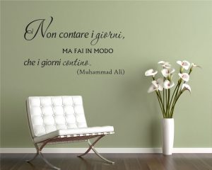 Adesivo murale.non contare i giorni