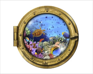 Tra pesci e coralli-sticker oblò