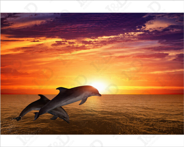 Quadro moderno delfini "SALTO AL TRAMONTO" - Stampa su tela