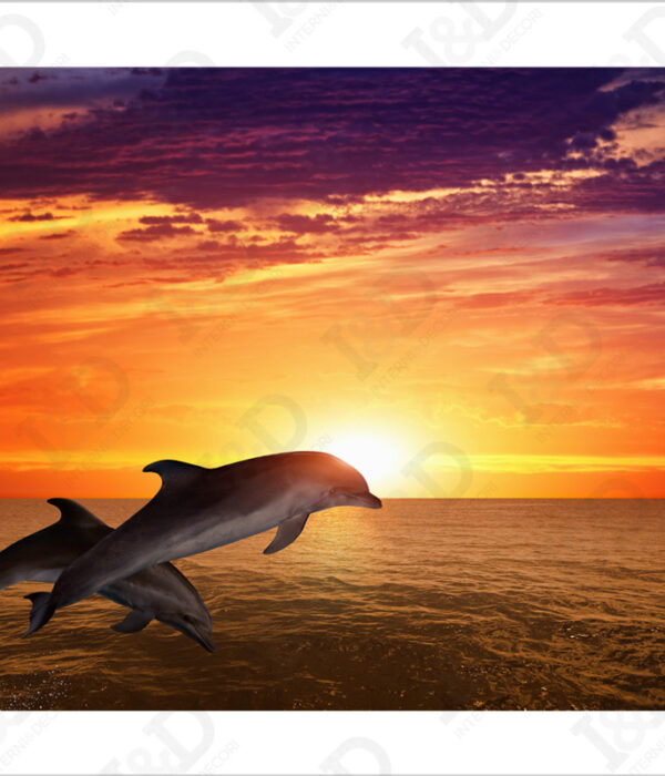 Delfini al tramonto-stampa su tela