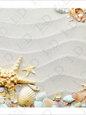 Conchiglie sulla sabbia-adesivo per pavimenti