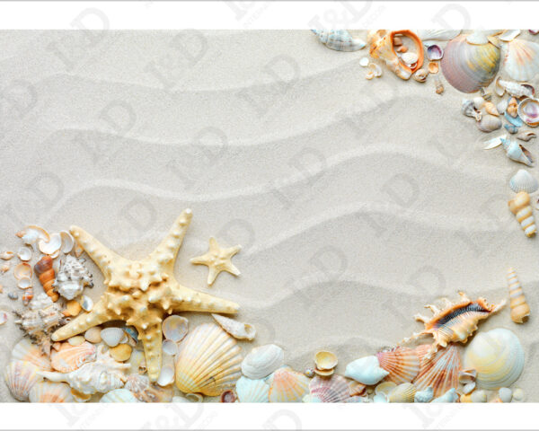 Adesivo per pavimento bagno "CONCHIGLIE SULLA SABBIA"
