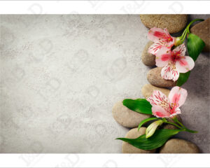 Fiori rosa su pietre-adesivo per pavimenti