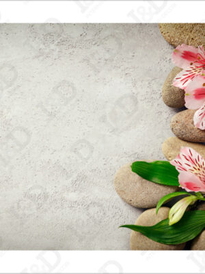 Fiori rosa su pietre-adesivo per pavimenti