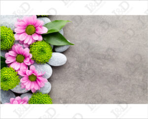 Pietre e margherite-adesivo per pavimenti