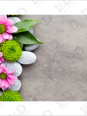 Pietre e margherite-adesivo per pavimenti