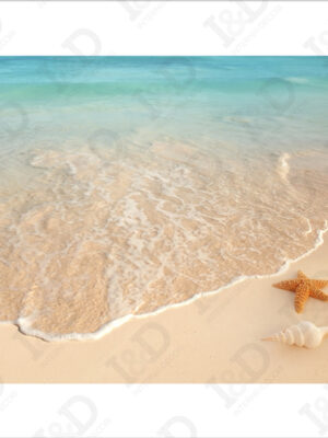 Stella marina e conchiglia-adesivo per pavimenti