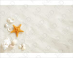 Adesivi per piastrelle bagno "STELLA E CONCHIGLIE SU SABBIA" - Adesivo per pavimento