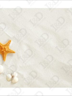 Stella e conchiglie su sabbia-adesivo per pavimenti