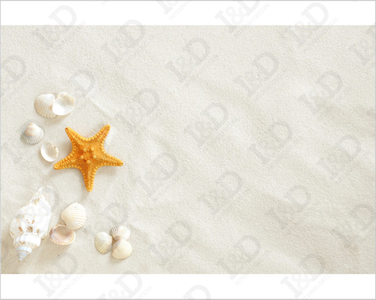 Adesivi per piastrelle bagno "STELLA E CONCHIGLIE SU SABBIA" - Adesivo per pavimento