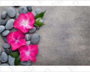 Pietre e fiori viola-adesivo per pavimenti