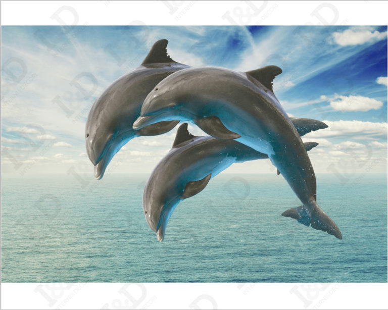 Adesivi per piastrelle bagno "DELFINI CHE SALTANO" - Adesivo per pavimento