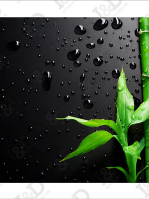 Ramo di bamboo-adesivo per pavimento