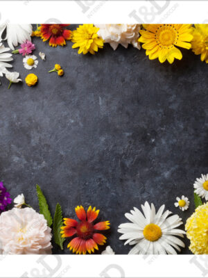 Tra margherite colorate-adesivo per pavimento