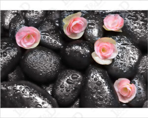 Fiori rosa su pietre nere-adesivo pe