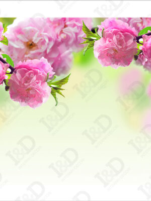 Ramoscello fiorito-adesivo per pavimento