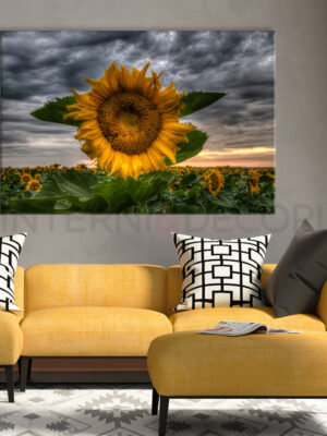 Quadro moderno fiori "UNO SPLENDIDO GIRASOLE" - Stampa su tela