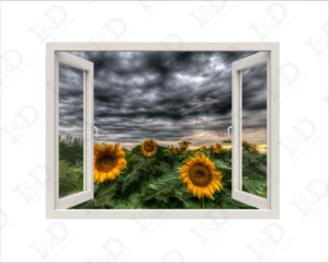 Nubi sui girasoli-finestra illusione