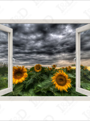 Nubi sui girasoli-finestra illusione