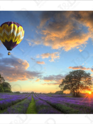 Volando su un campo di lavanda-stampa su tela
