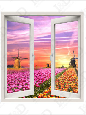 Vista sui tulipani-finestra illusione