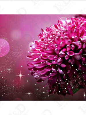 Dalia viola-stampa su tela