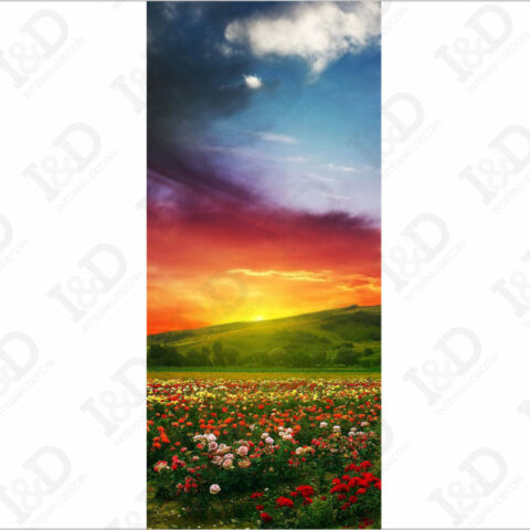 Tramonto sul campo di rose-adesivo per porte