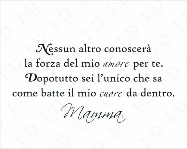 Adesivo frase nascita bimbo "NESSUN ALTRO CONOSCERÀ..."