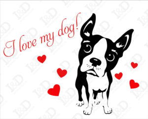 Adesivo murale cane-I love my dog