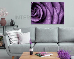 Quadro moderno fiori "UNA ROSA VIOLA"
