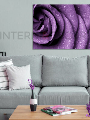 Quadro moderno fiori "UNA ROSA VIOLA"