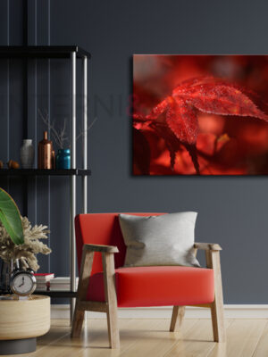 Quadro moderno natura "FOGLIE D'ACERO"