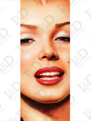 Adesivo per porte Marilyn Monroe-fascino delicato