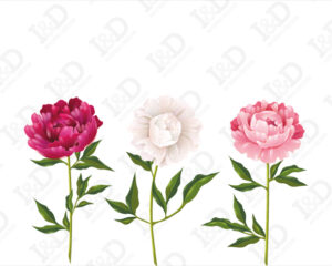 Adesivo murale peonie-profumo di primavera