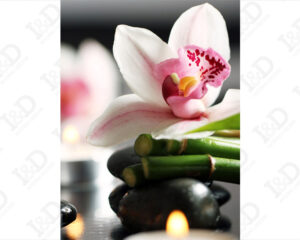 Orchidea su bamboo-stampa su tela