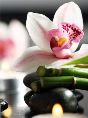 Orchidea su bamboo-stampa su tela